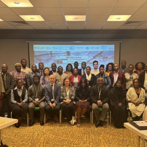 What years of climate transparency training for developing countries h