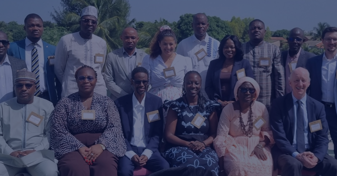 From climate finance needs to strategic investment plans: Lessons from Francophone Africa