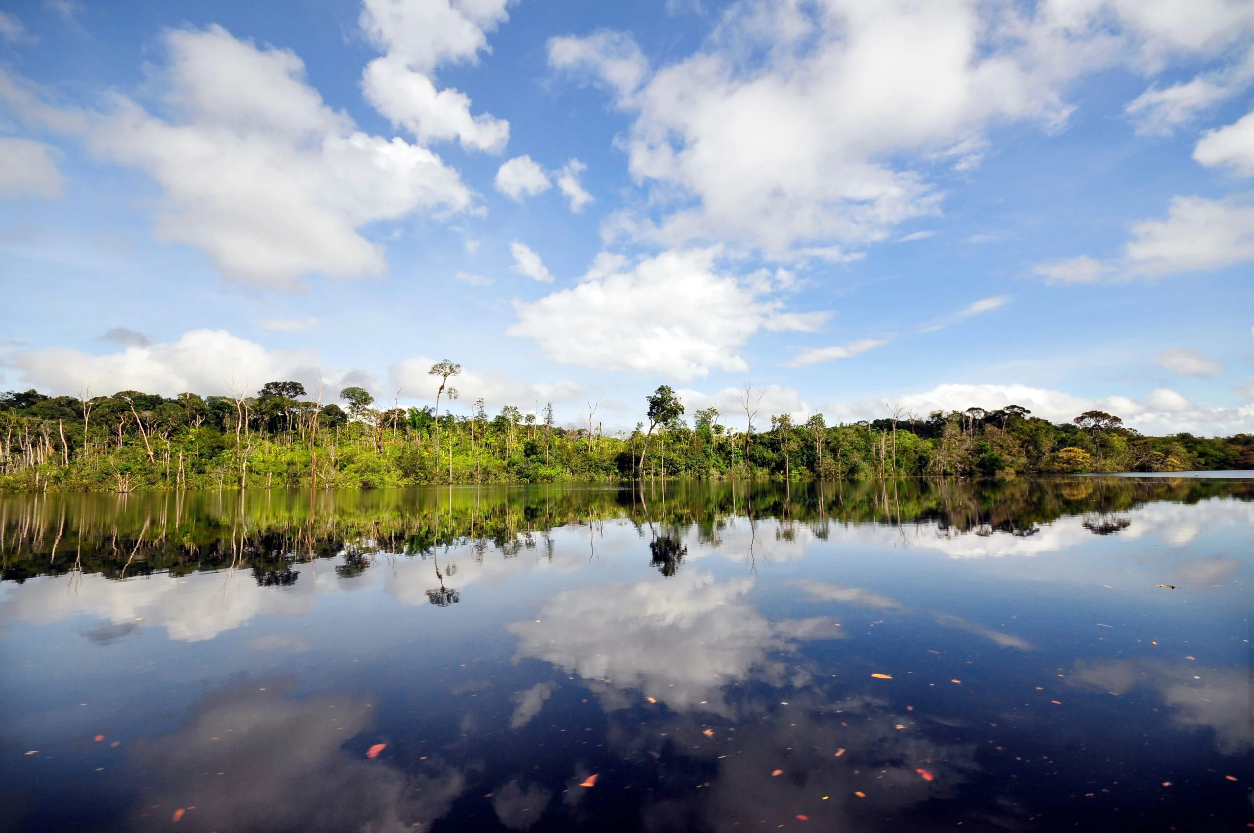 Improving the Transparency of Climate Action
