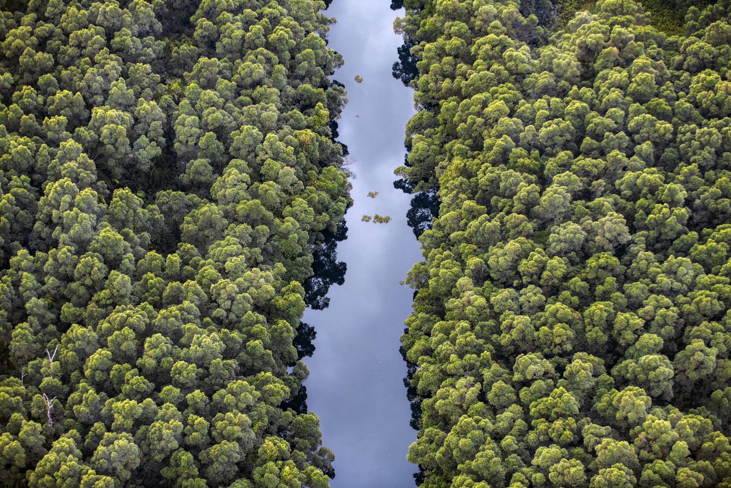 Call for Proposals: Assessment of the policy framework impact on the r