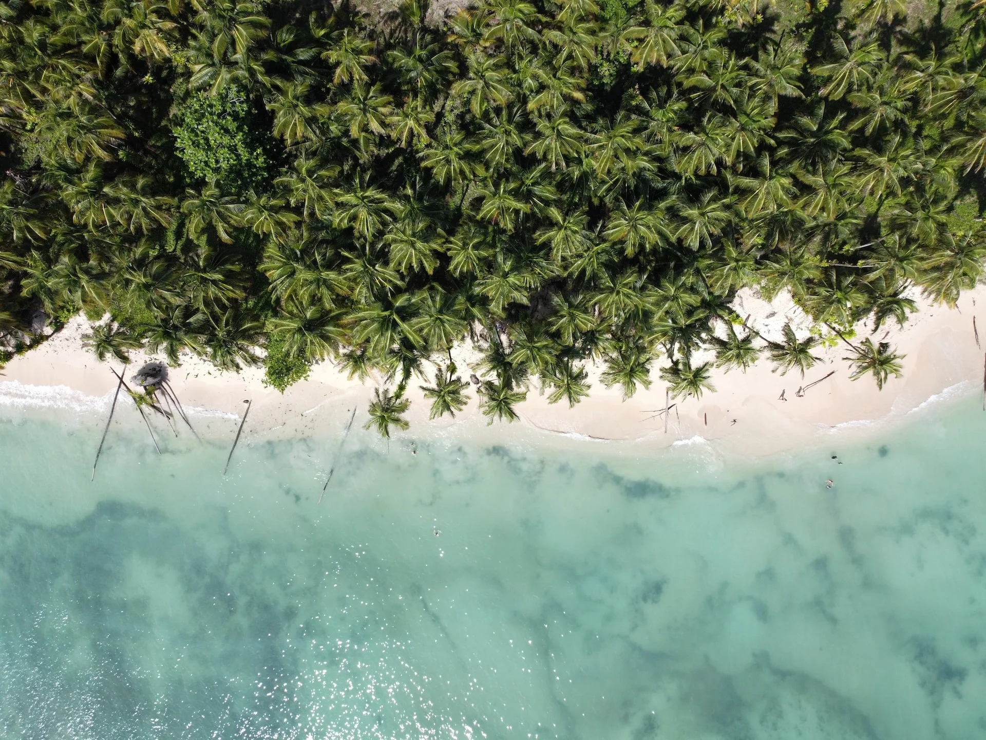 New Climate Action Transparency Hub Launched for Central American Coun