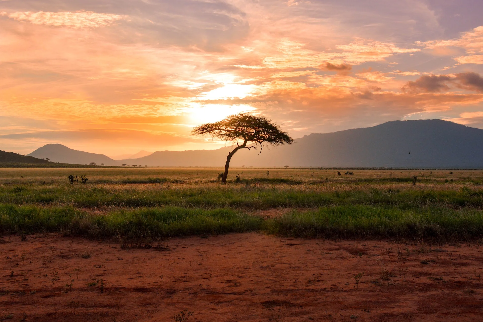 Kenya commences work for enhanced transparency on the agricultural cro