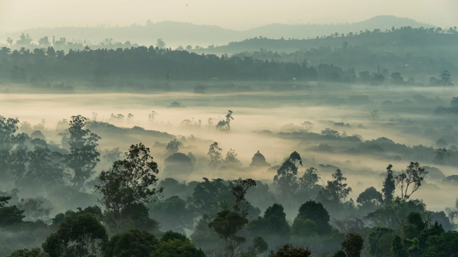 Call for proposals: Technical support to ICAT hub in Central Africa