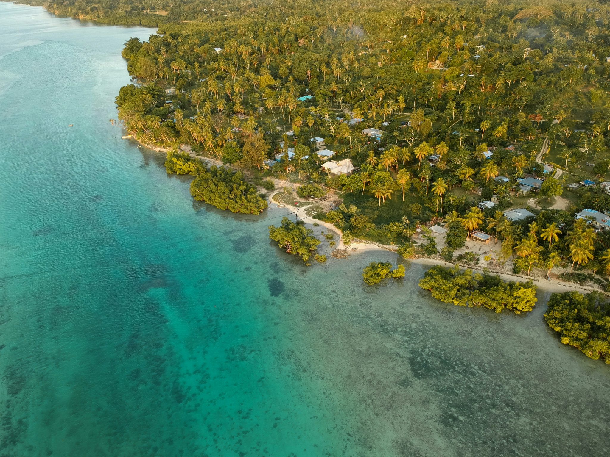 51d138c0db_Vanuatu-Photo-by-Seiji-Seiji--2048x1536.jpg