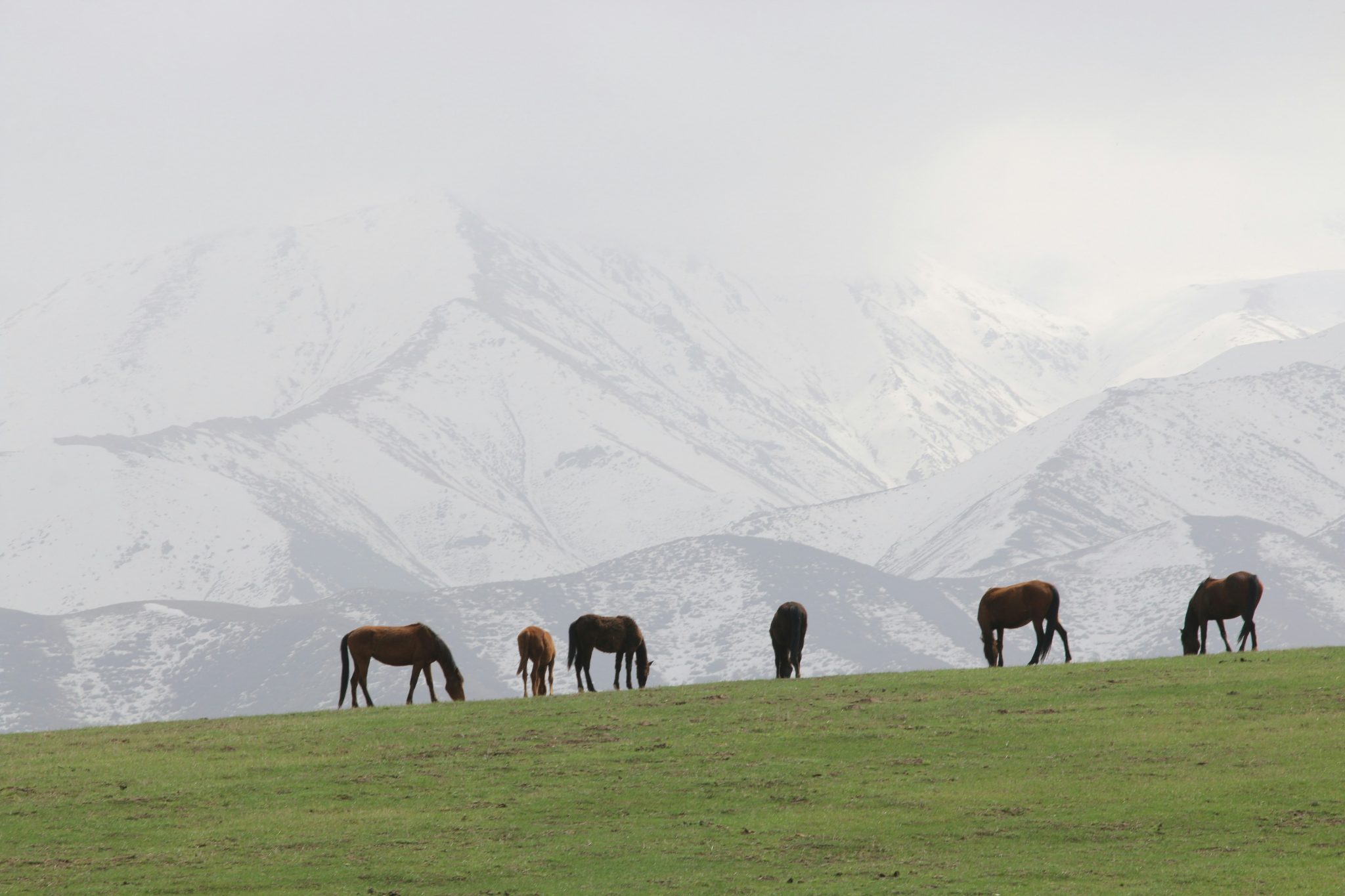 f46e999589_Kyrgyzstan-Photo-by-Natalia-Slastnikova-on-Unsplash-2048x1365.jpg