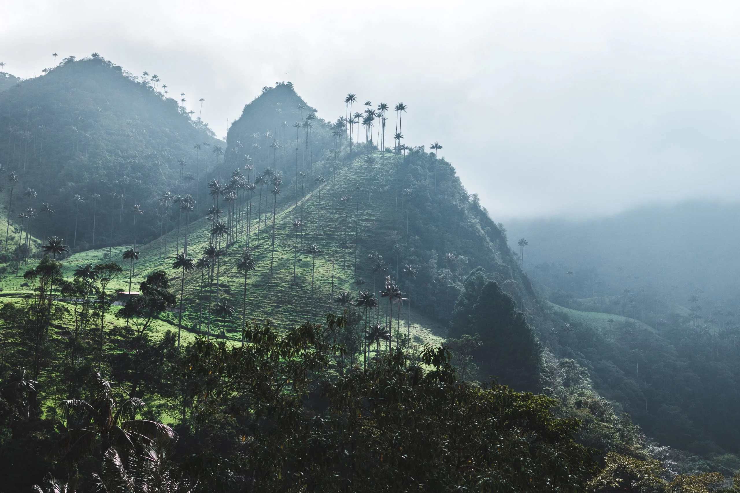 Case study: Quantifying emissions impact of subnational and non-state 
