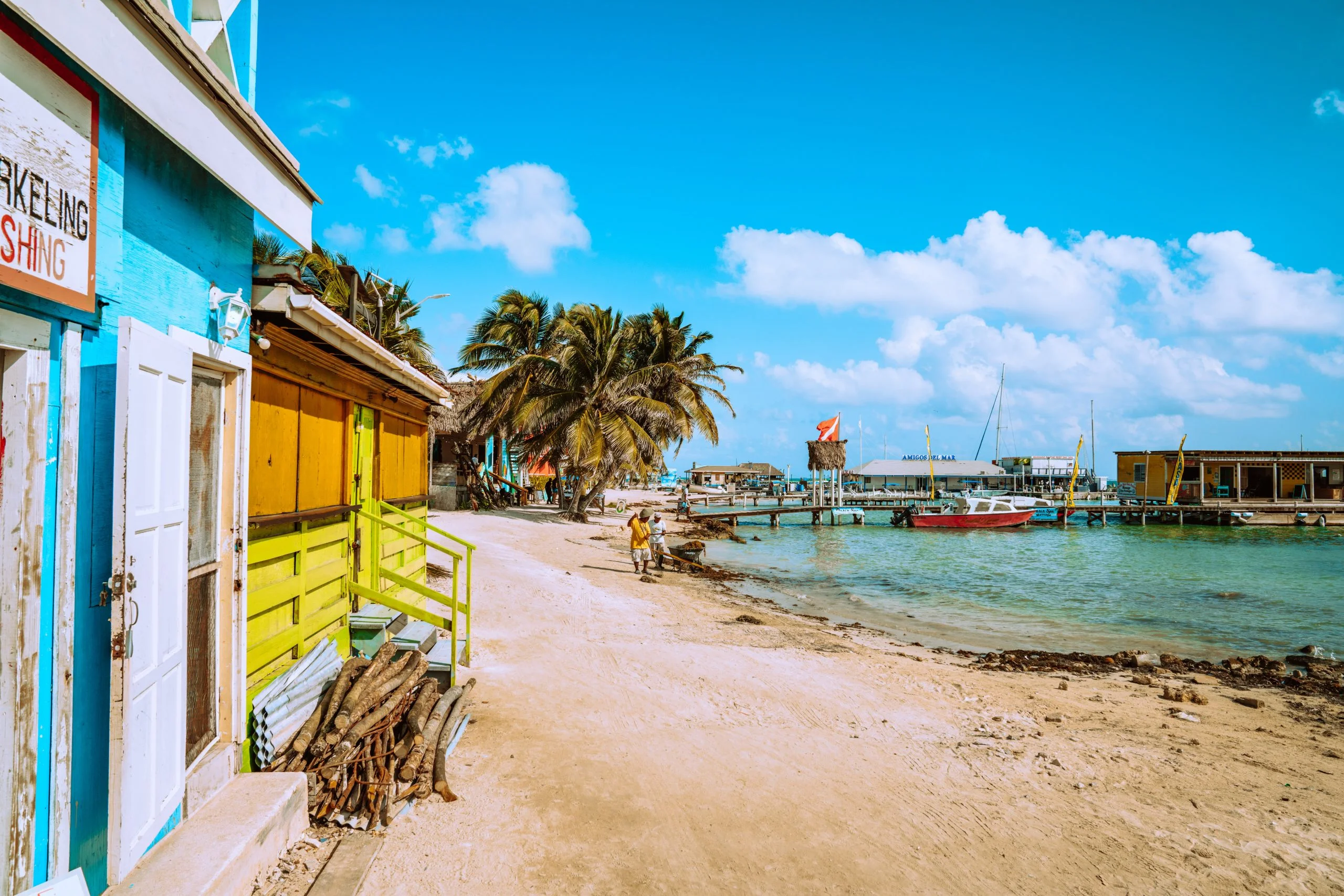 Climate Finance Transparency: Interview with Dr. Lennox Gladden