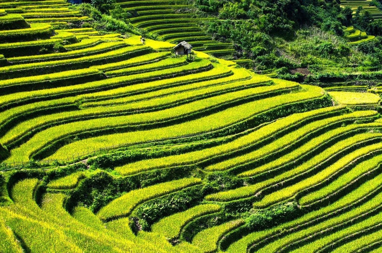 Case study: Embedding energy and agriculture into Viet Nam’s MRV syste