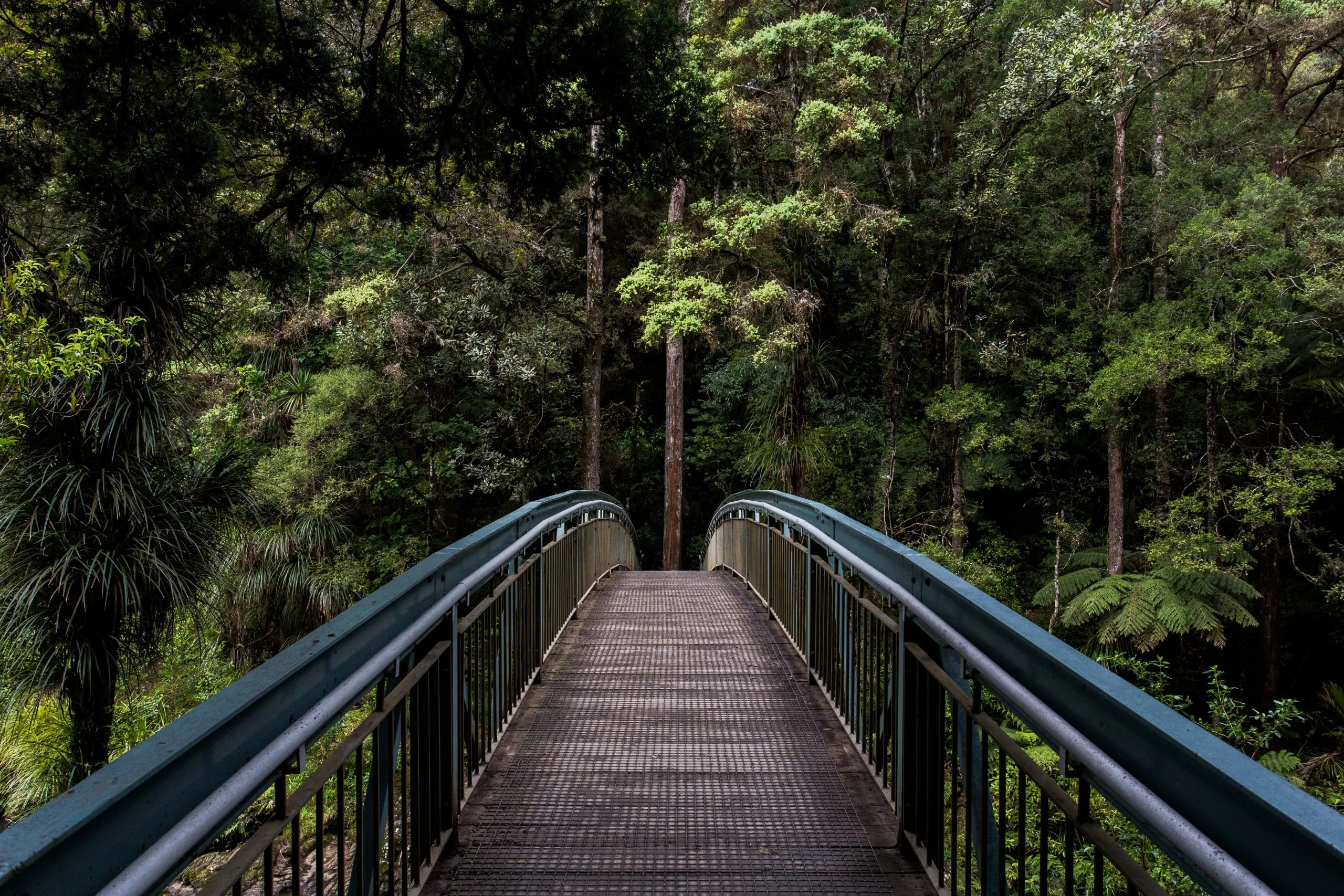 A road map for establishing information systems for climate action and support